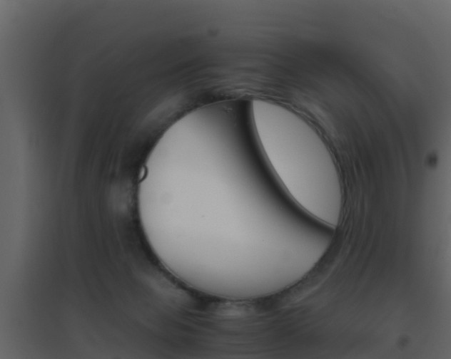 X0000096700077200802051111
