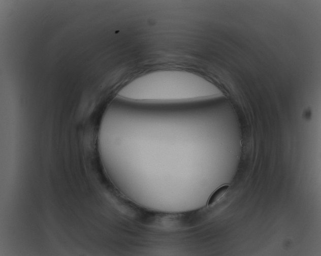 X0000096700078200802051111