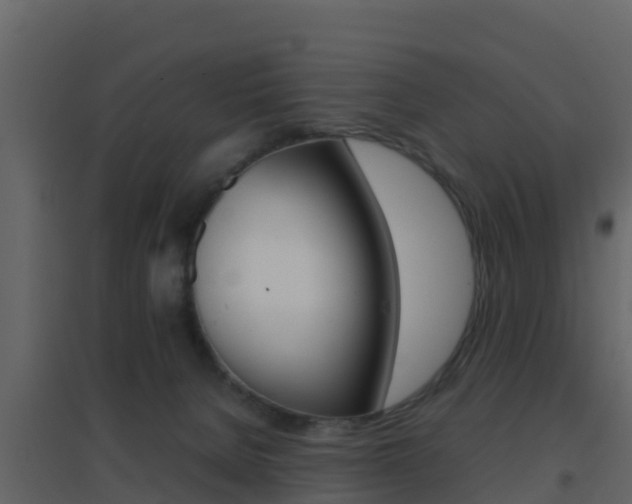 X0000096700080200802051111