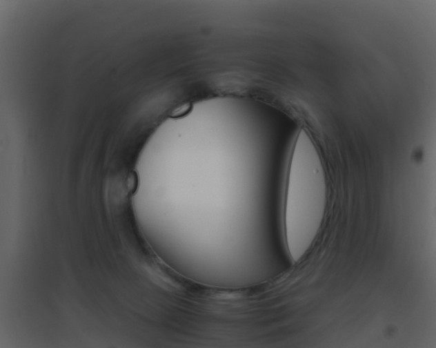 X0000096700081200802051111