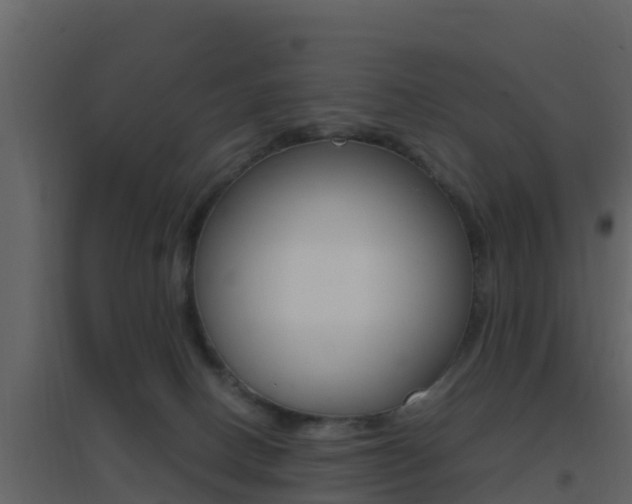 X0000096700082200802051111
