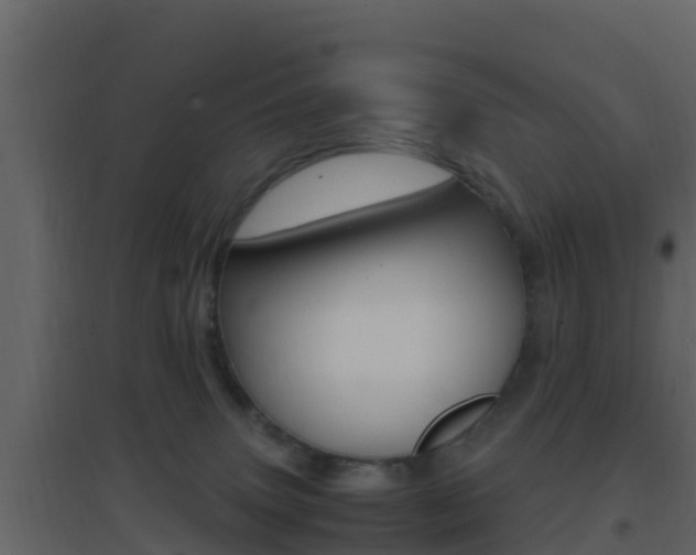 X0000096700083200802051111