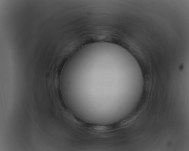 X0000096700085200802051111