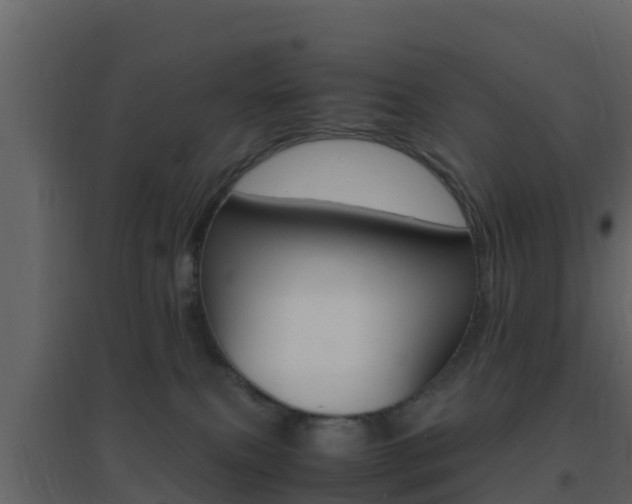 X0000096700087200802051111