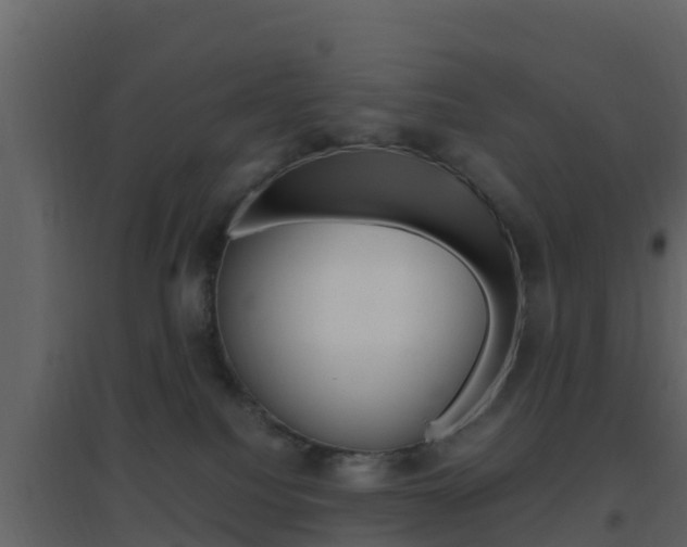 X0000096700088200802051111