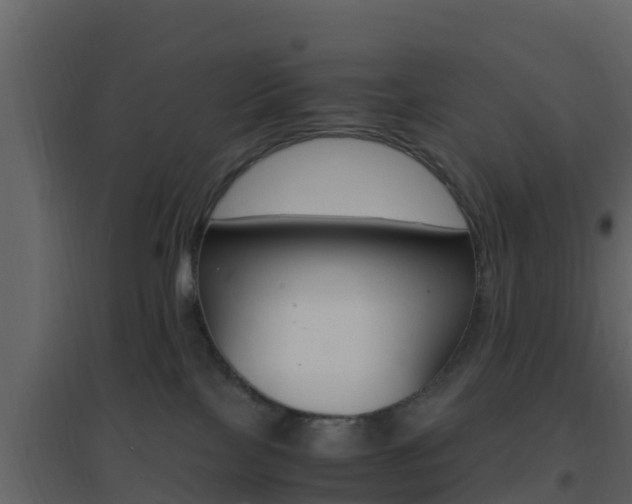 X0000096700089200802051111