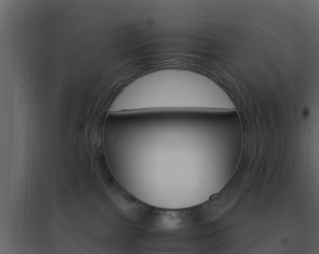 X0000096700091200802051111