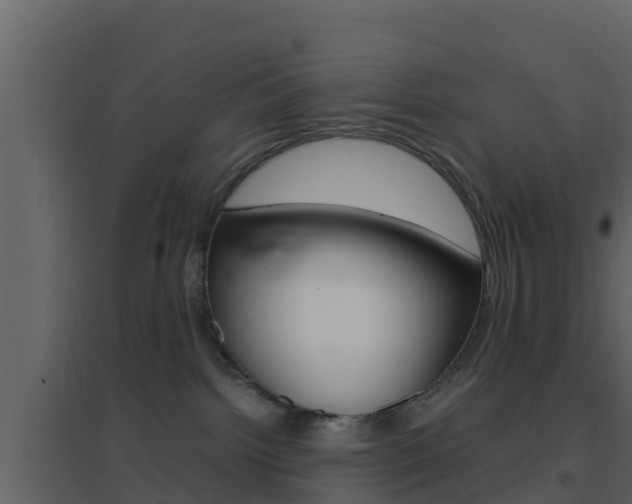 X0000096700092200802051111