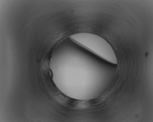 X0000096700093200802051111