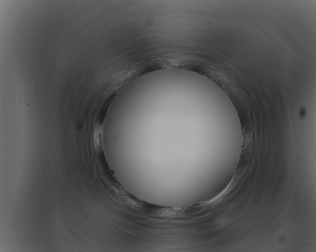 X0000096700094200802051111