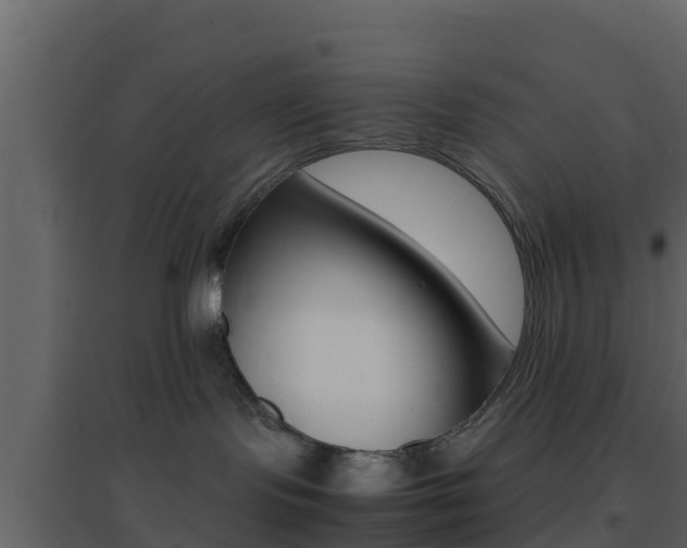 X0000096700095200802051111