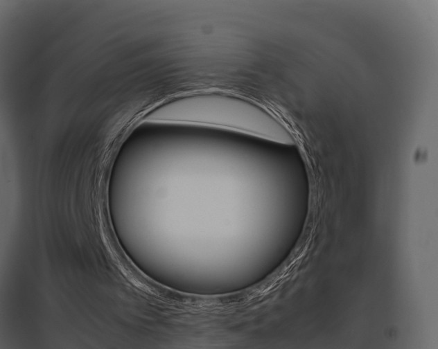 X0000096700097200802051110