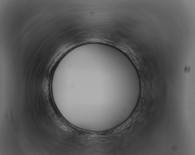X0000096700098200802051110