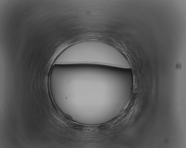 X0000096700099200802051110