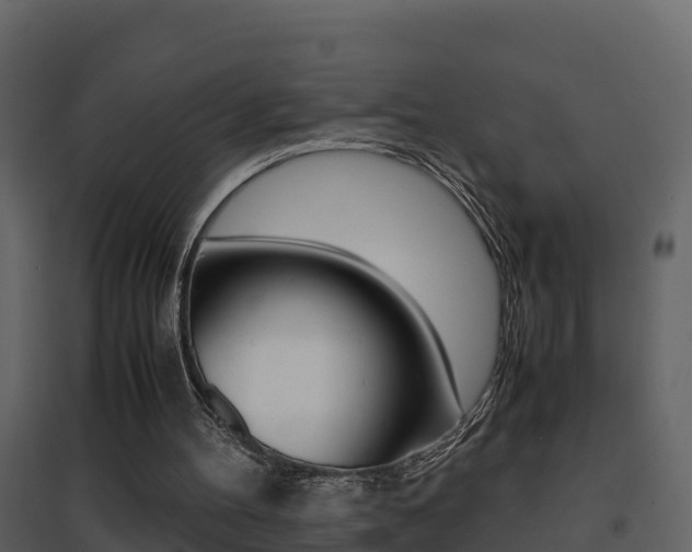 X0000096700100200802051110