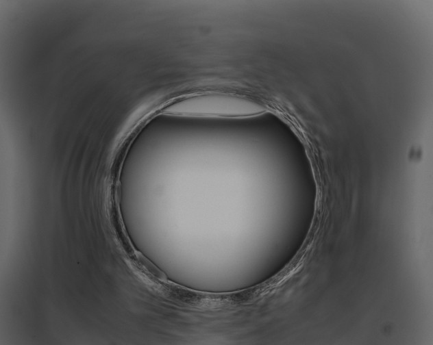 X0000096700101200802051110