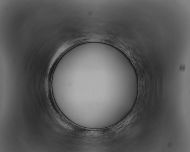 X0000096700102200802051110