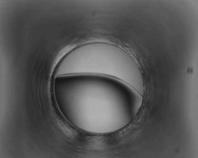 X0000096700104200802051110