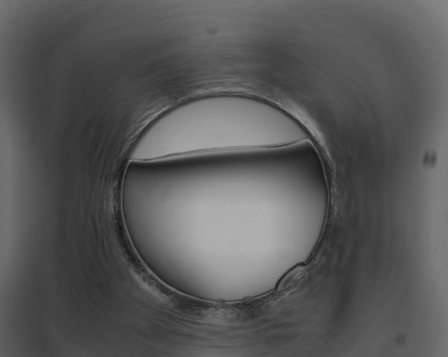 X0000096700105200802051110