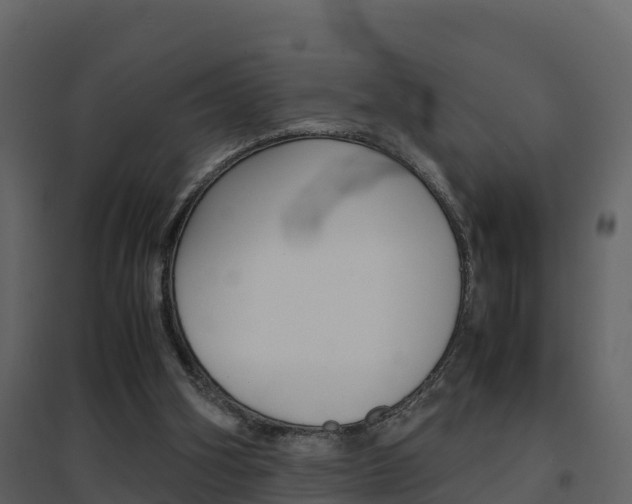 X0000096700106200802051110