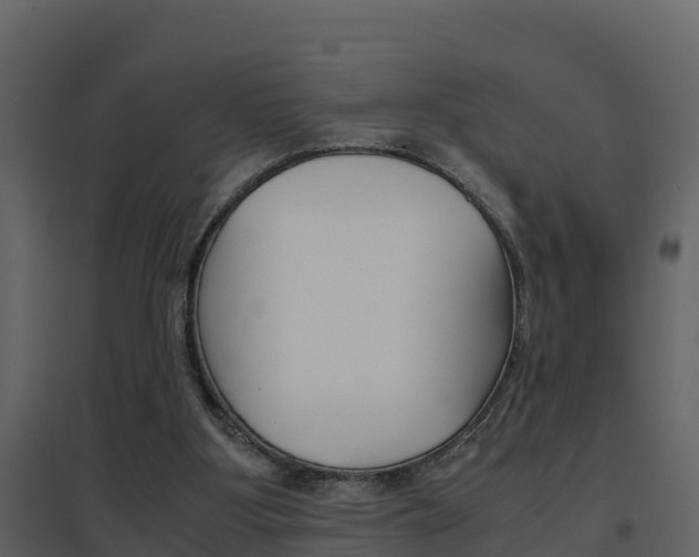 X0000096700107200802051110
