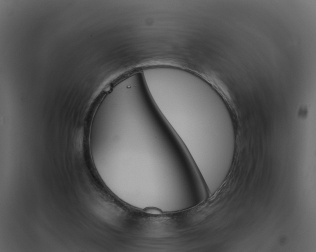 X0000096700108200802051110