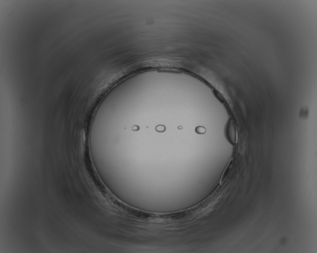 X0000096700109200802051110