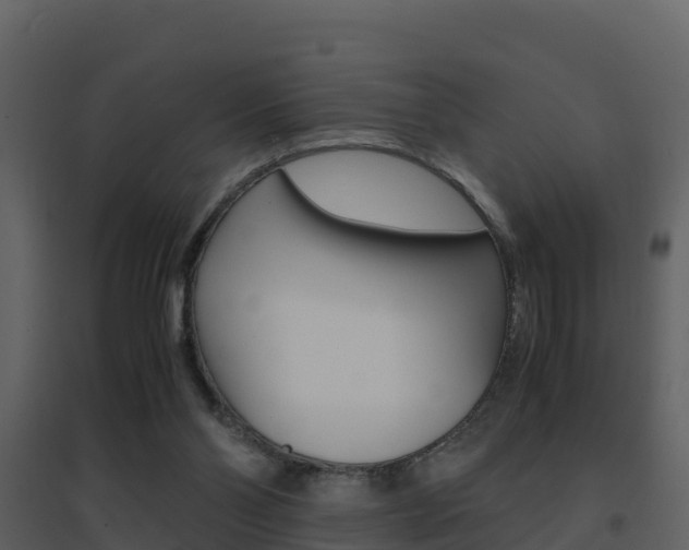 X0000096700110200802051110