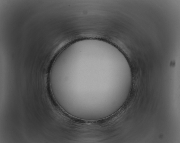 X0000096700111200802051110