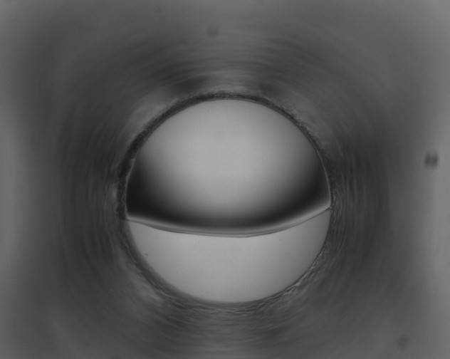 X0000096700112200802051110