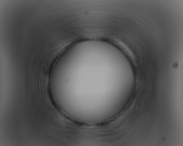 X0000096700113200802051110