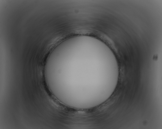 X0000096700114200802051110