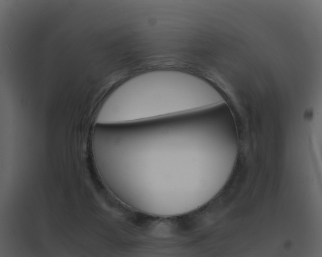 X0000096700115200802051110
