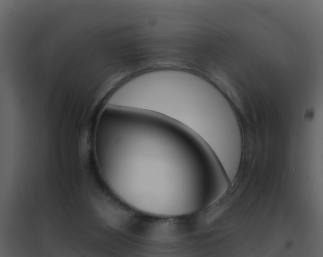 X0000096700116200802051110