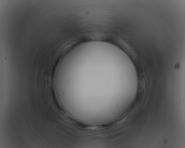 X0000096700117200802051110