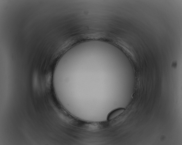 X0000096700118200802051110