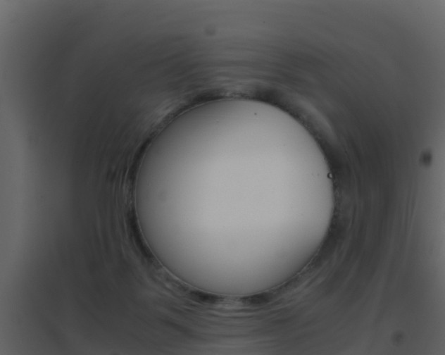 X0000096700123200802051110