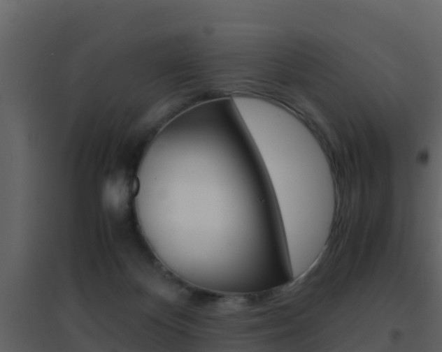 X0000096700124200802051110