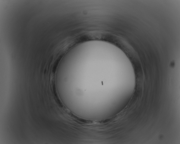 X0000096700125200802051110