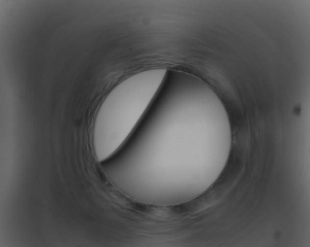 X0000096700127200802051110