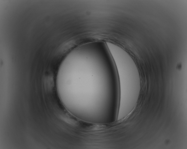 X0000096700128200802051110