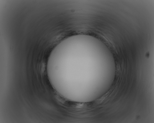 X0000096700130200802051110