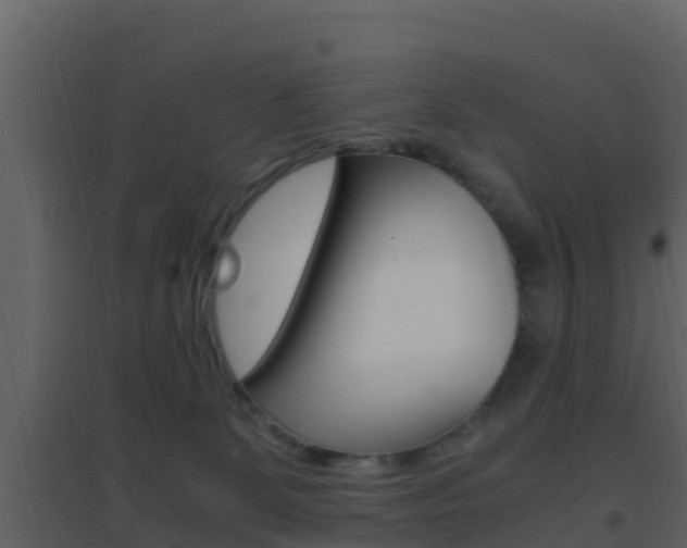 X0000096700131200802051110