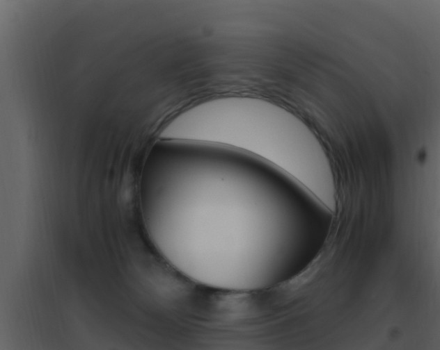 X0000096700132200802051110