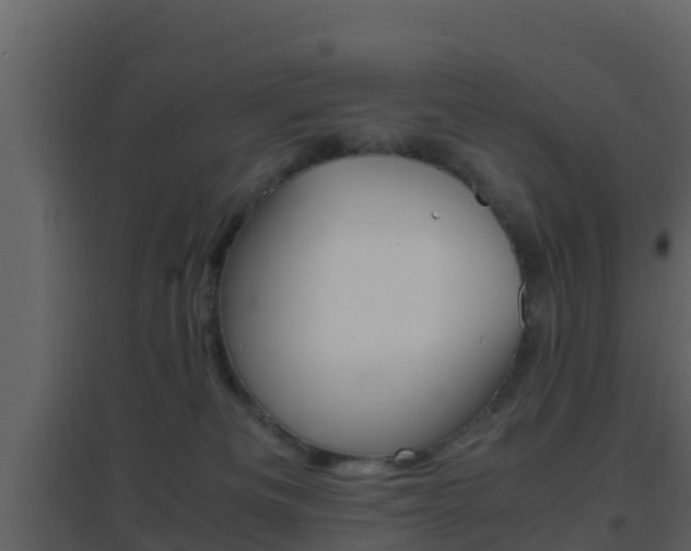 X0000096700133200802051110