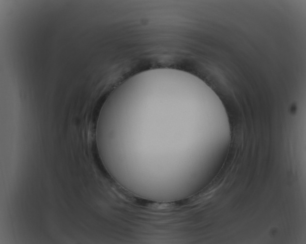 X0000096700135200802051110