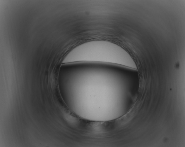 X0000096700136200802051110