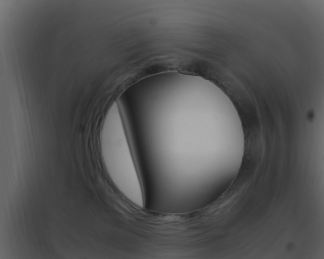 X0000096700137200802051110