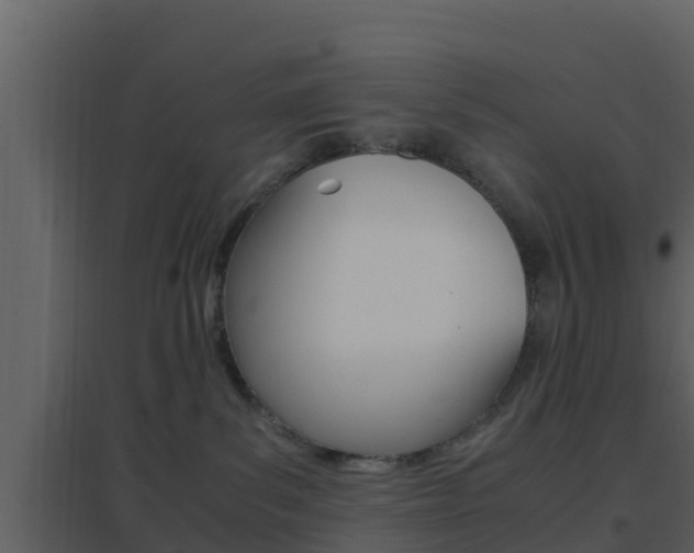 X0000096700139200802051110