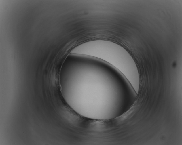 X0000096700140200802051109